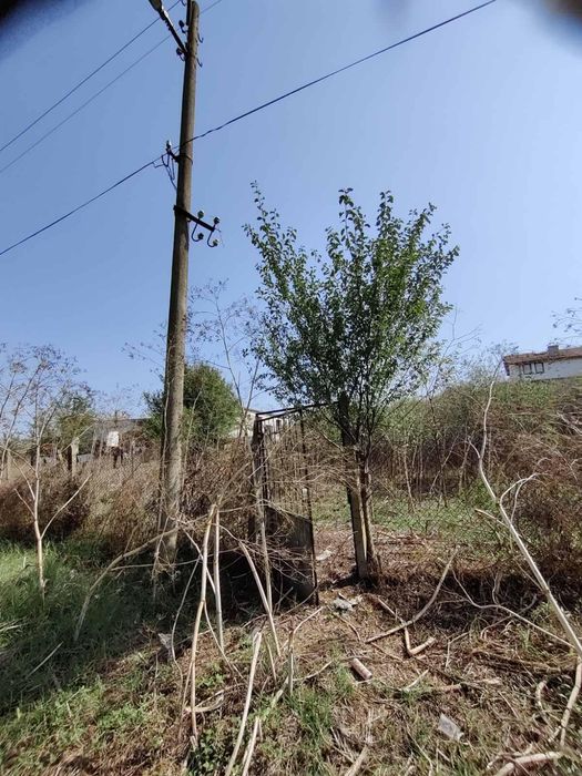 Продава се Парцел в Бургас, Център - 901 кв.м за 45 €/кв.м - Снимка #3