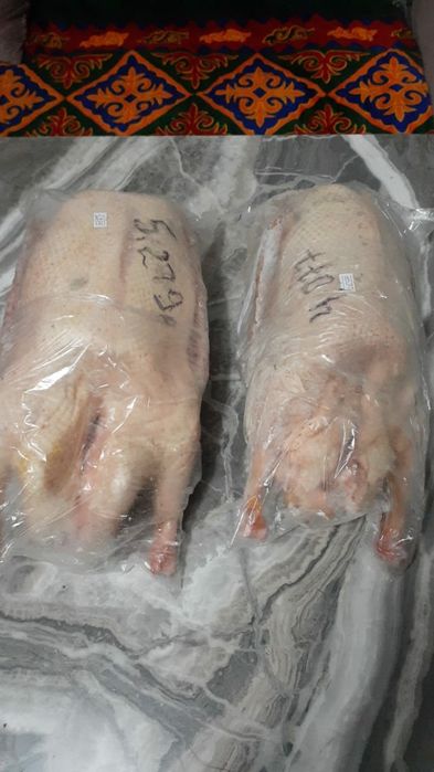 Қаз сатамын.  Гуси