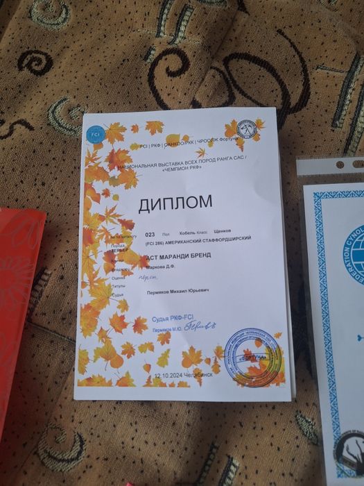 Кабель на вяску возрас два года