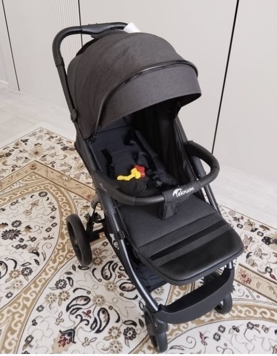 Коляска демисизон