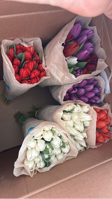 Тюльпаны, оптом и в розницу