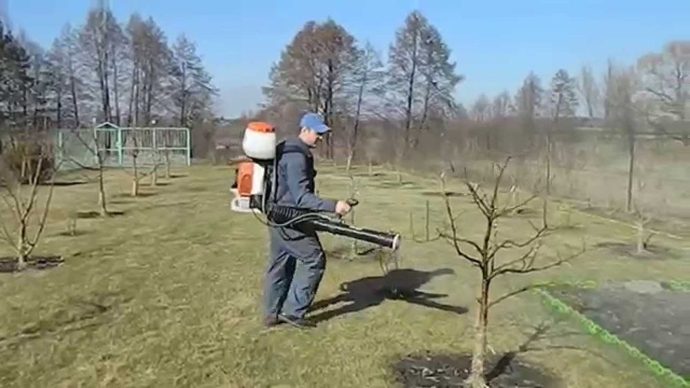 Дарахтларни богларни далаларни дорилаш хизмати