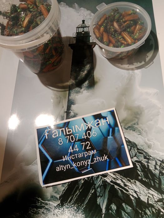 Алтын коныз Майский жук Золотой жук емдык Простотитке