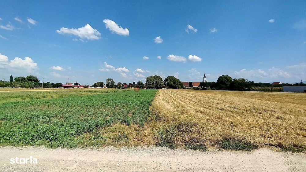 Teren Intravilan