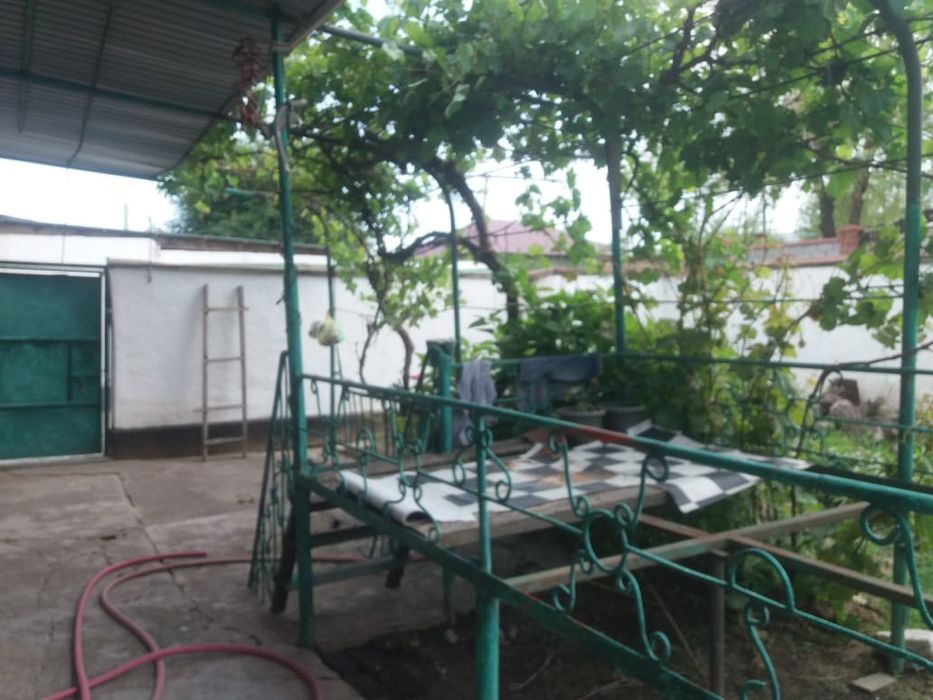 Порно фотосуреттер