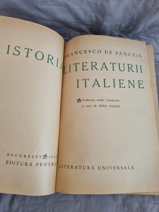 Istoria literaturii italiene, Francesco de Sancțiuni.