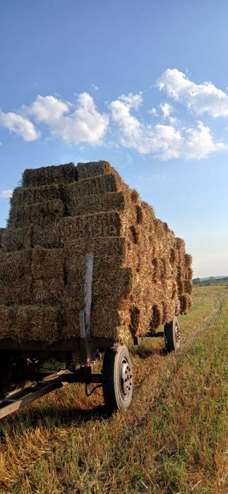 Baloți de paie ,fan ,lucerna, coceni ovăz,