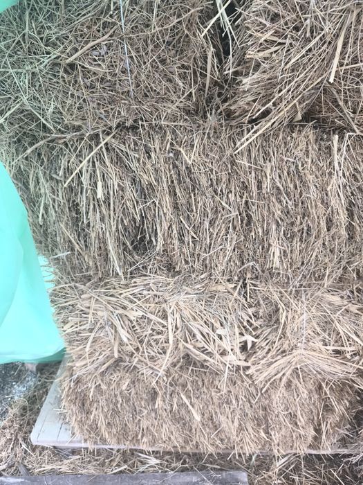 Шөп барлығына жарамды