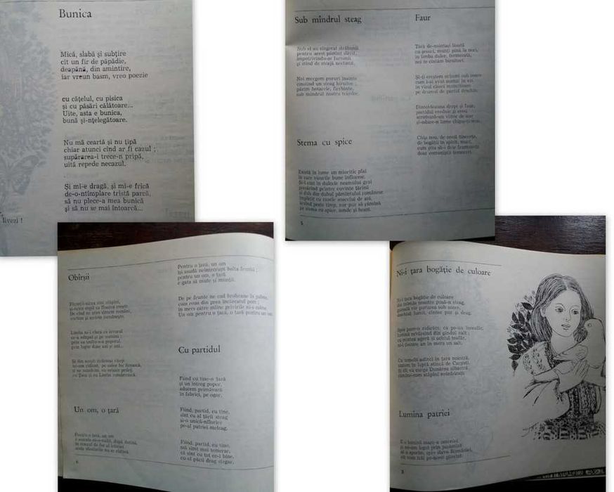 Carte poezii epoca comunista-ʺ Talcul culorilorʺ, Radu Felecan-NOUA