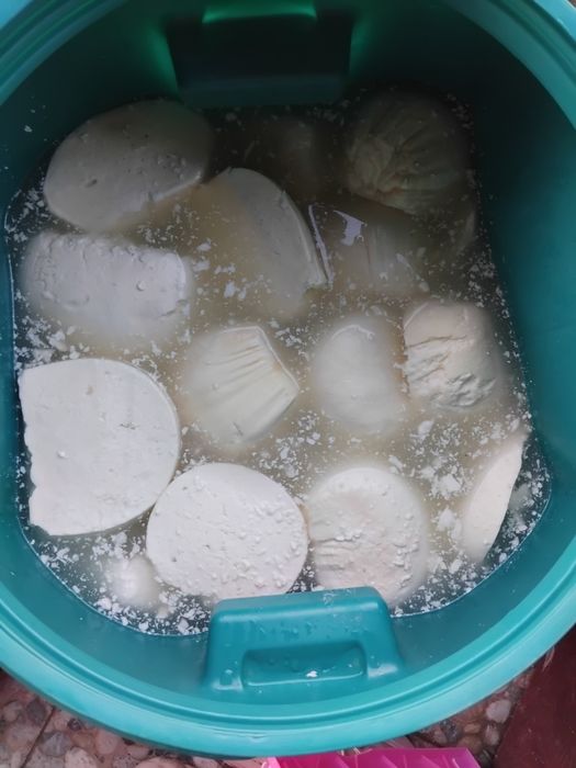 Brânză de vaca Albeni județul Gorj