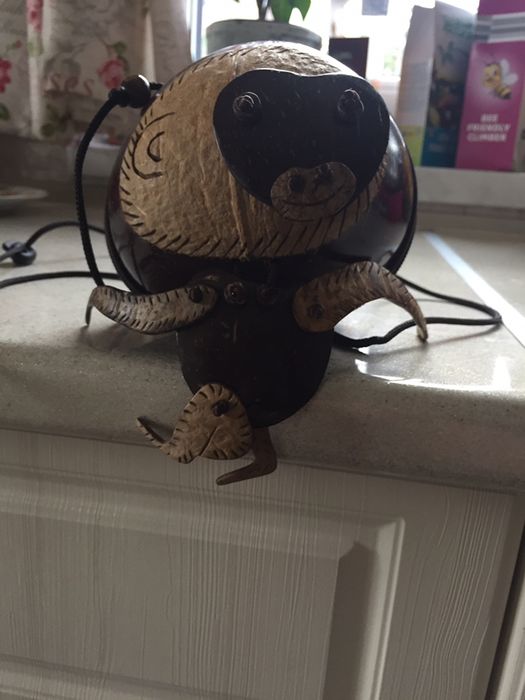 Geanta nuca cocos
