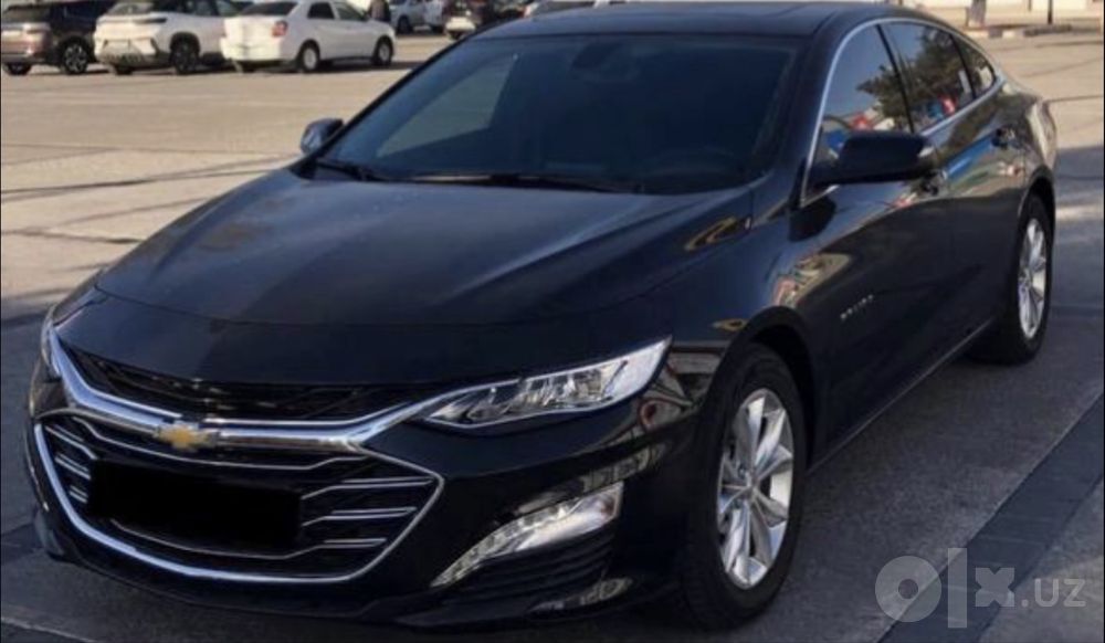 Malibu 2 premier