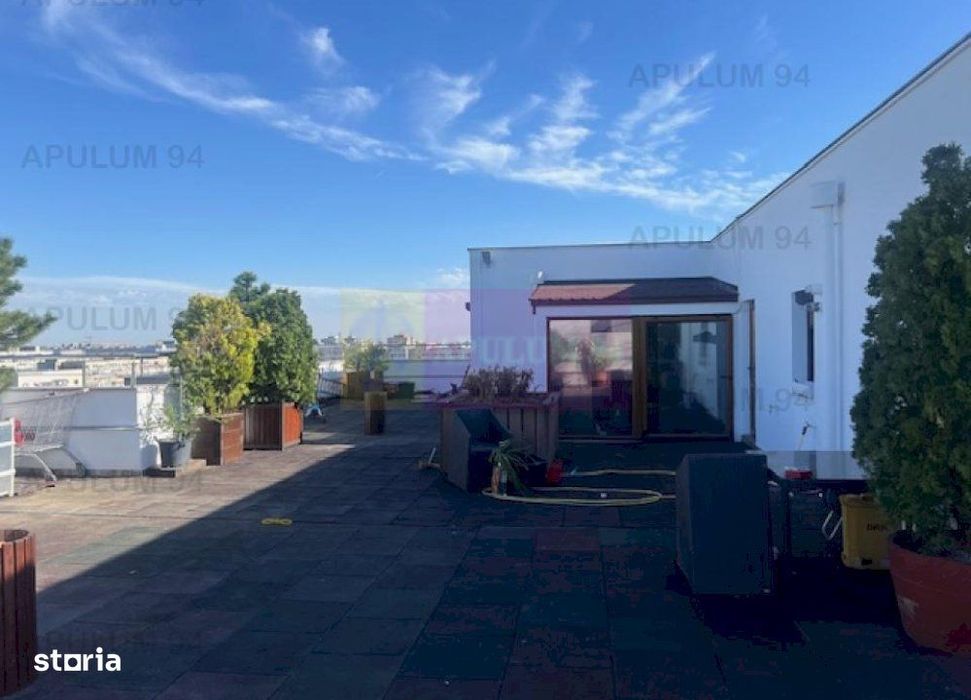 Penthouse Titan- Baba Novac.