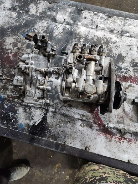 BT Gusunichniy altayniki