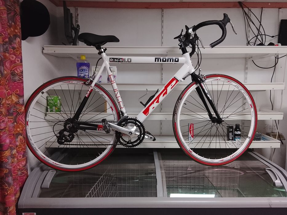 Cursiera momo simano germania