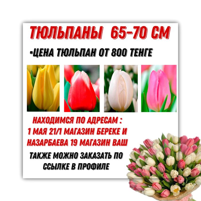 Тюльпаны Павлодар