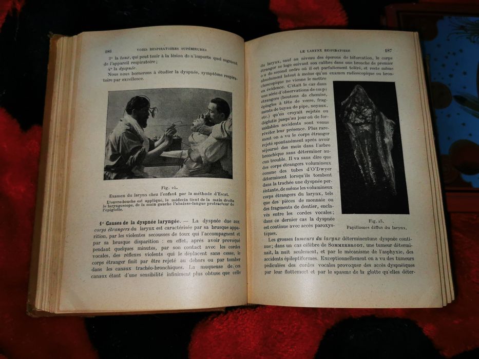 Voyage au centre de la Terre Hetzel D. H. Lawrence Amants et Fils 1931