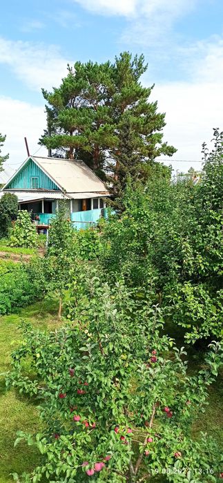 Продам дачу сад Речкнька