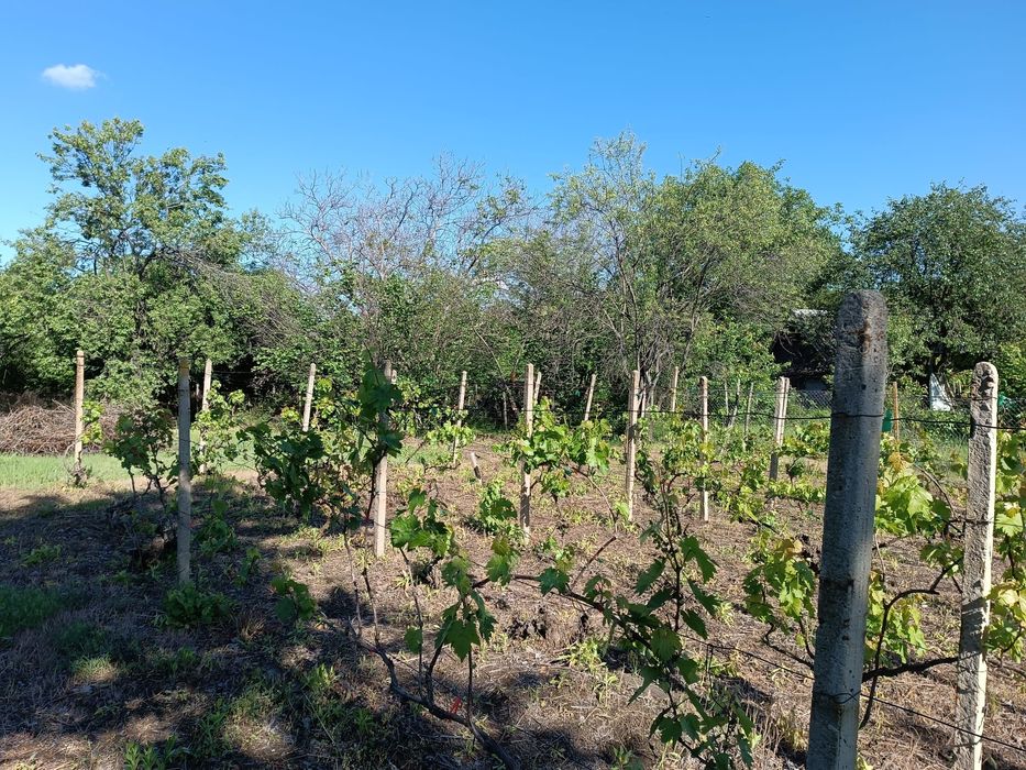 Продава се Къща в Русе, Долапите - 1100 кв.м за 26 €/кв.м - Снимка #3