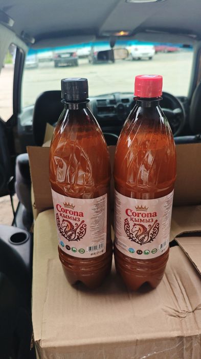 КУМЫС Башкирский "Corona", Шипицын.