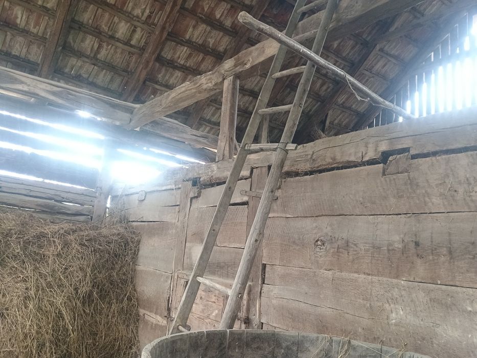 Șură de lemn stejar de vânzare