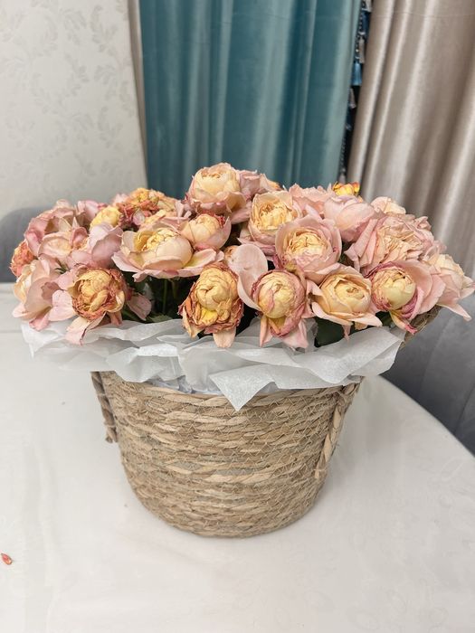 Бует густовые розы