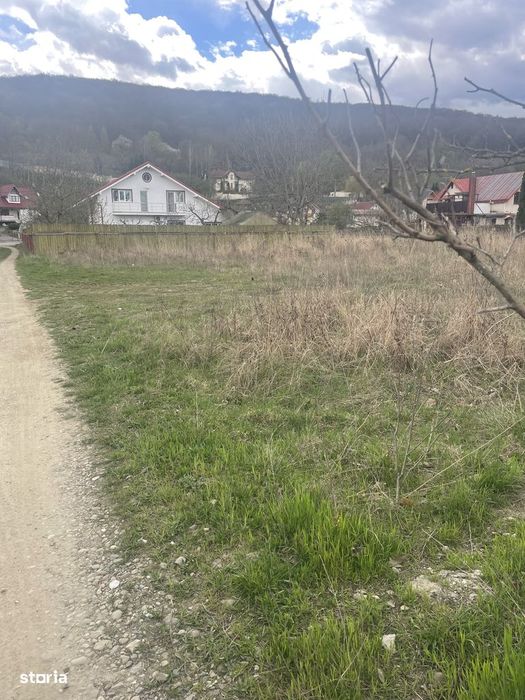 Teren intravilan 700 mp,Aleea Coloneilor,toate utilitatile