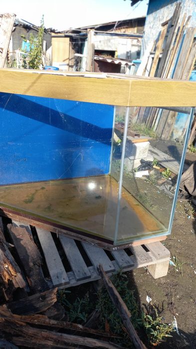 Аквариум тонна вместе с камушками