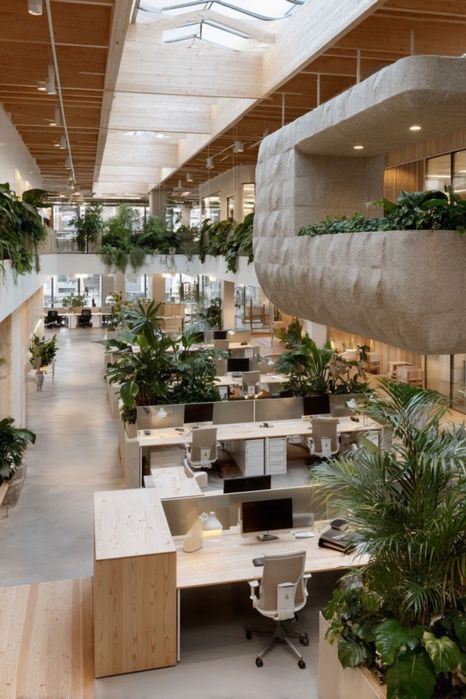 Озеленение помещений