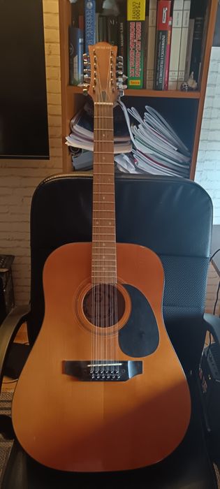 Chitara Acustica Hora W 12205 4/4 12 string Brown+Husă pentru chitară