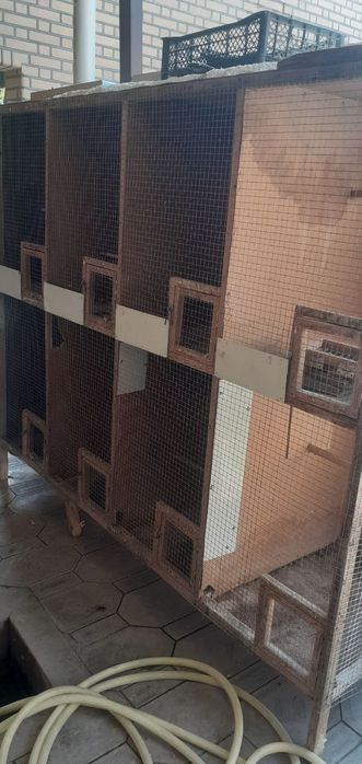 100 % гарантия берилади тозза