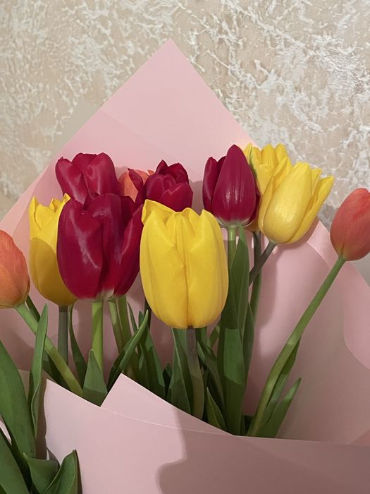 Тюльпаны 60-65 см есть наличия четыре цвета