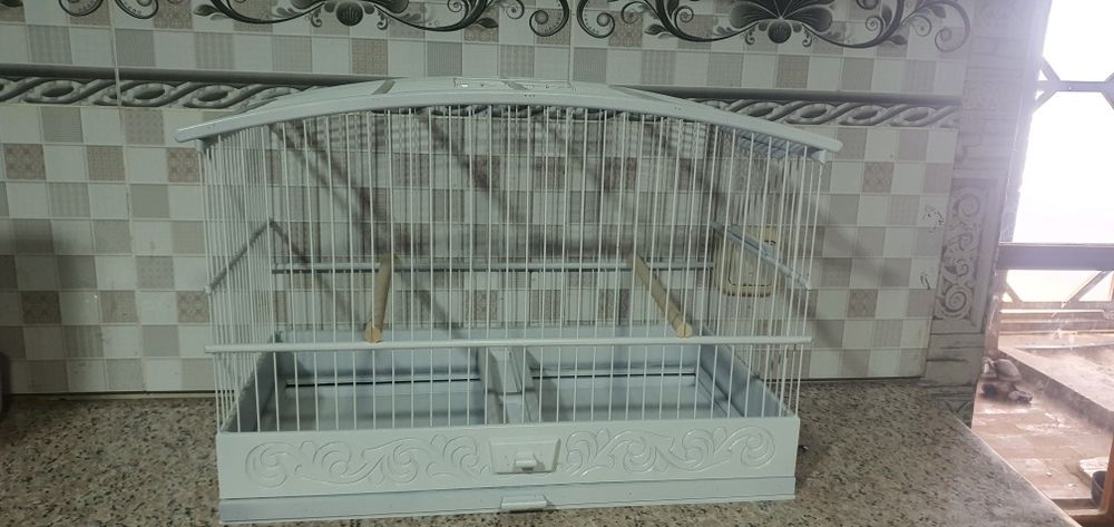 Yong'oq qafaslar yasiymiz zaka olamiz razmeri 38x20 oqi 50x25