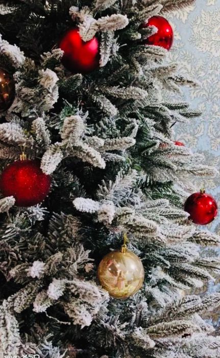 Yolka. Archa. Супер цена!!!Северная ёлка 1.80