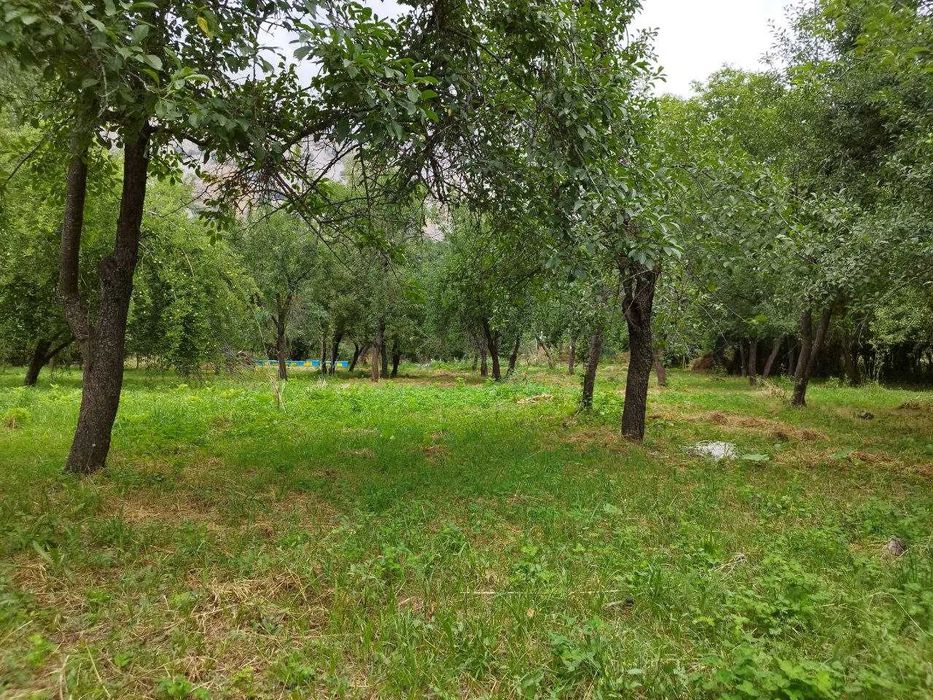 Дача в горах 47 сот {Палванак}