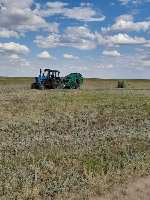 Действующее крестьянское хозяйство.