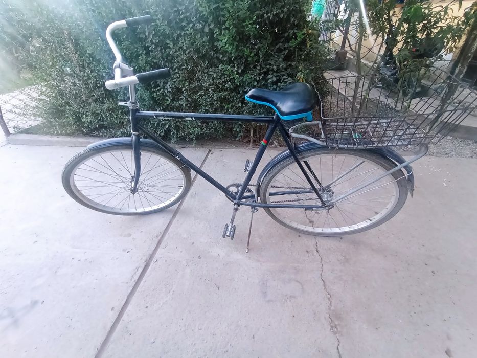 650 ming kami bor hech qanday kasalligi yoʻq haydashga yaroqli