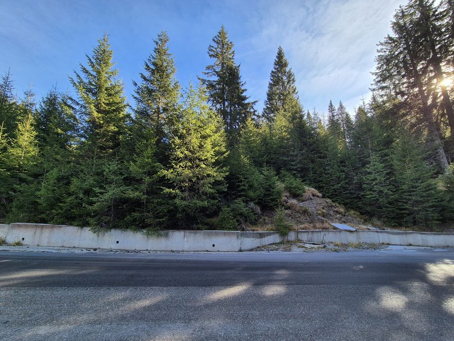 Teren Dichiu Transbucegi