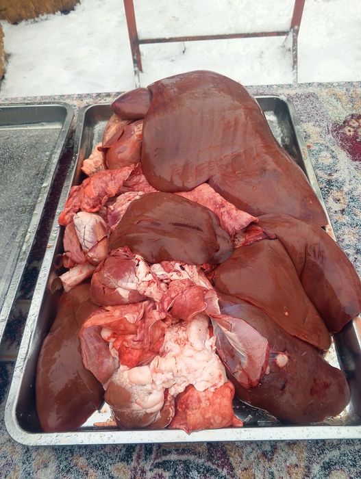 Разрубка  и продажа мясо говядина баранина конинапо частям и согым