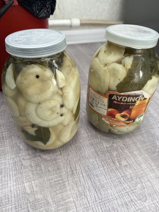 Продается  грибы ГРУЗДИ , Каркаралинский