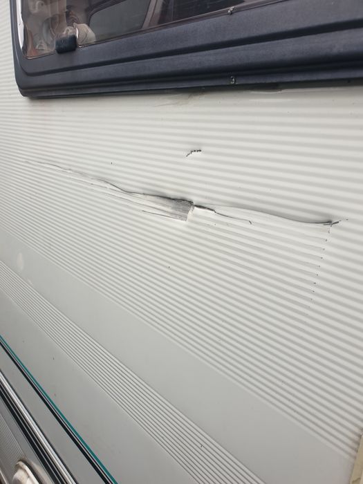 Rulota marander alba