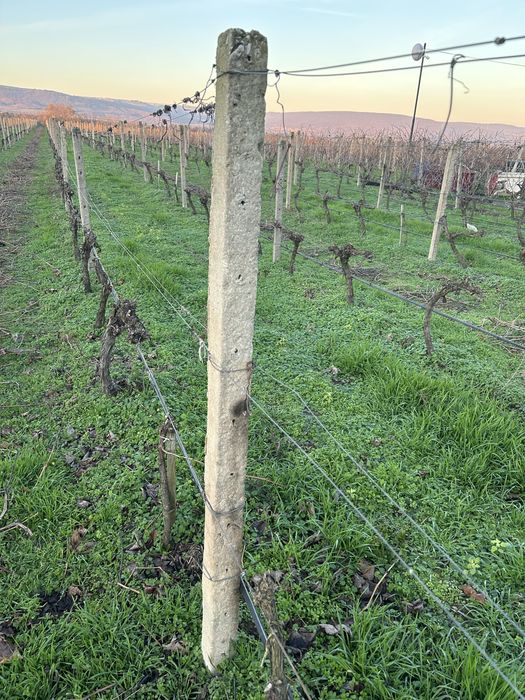 Циментови колове