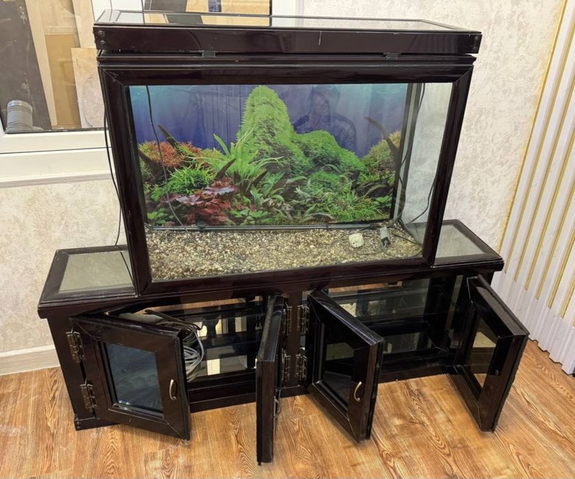 Akvarum zavatiskoy sifatiga gap yoq srochna pul zaril