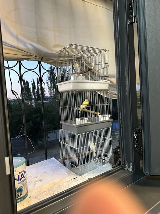 Сотилади 2 мода 2 нар