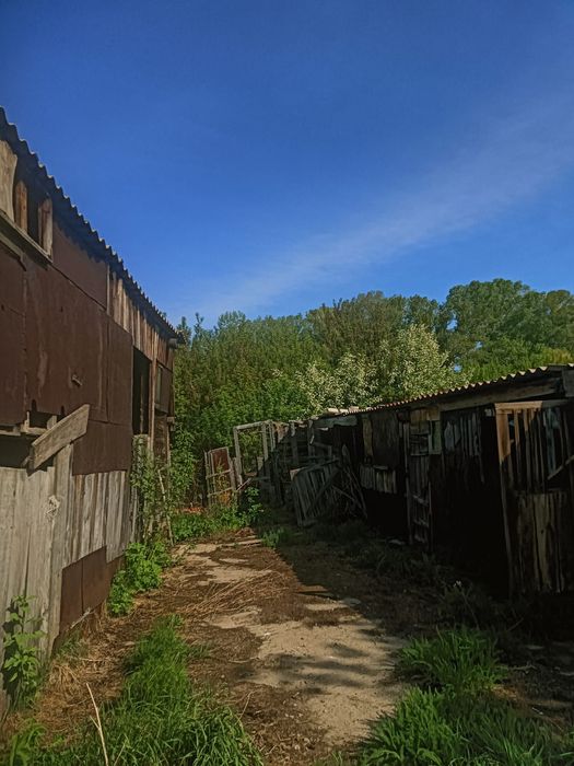 Продается дом, НЕДОРОГО