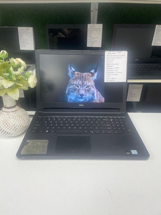 Гарантия от магазинов и подарок офисный ноутбук работы и учебы corei5