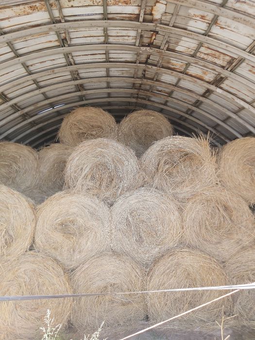 Продам сено в рулонах