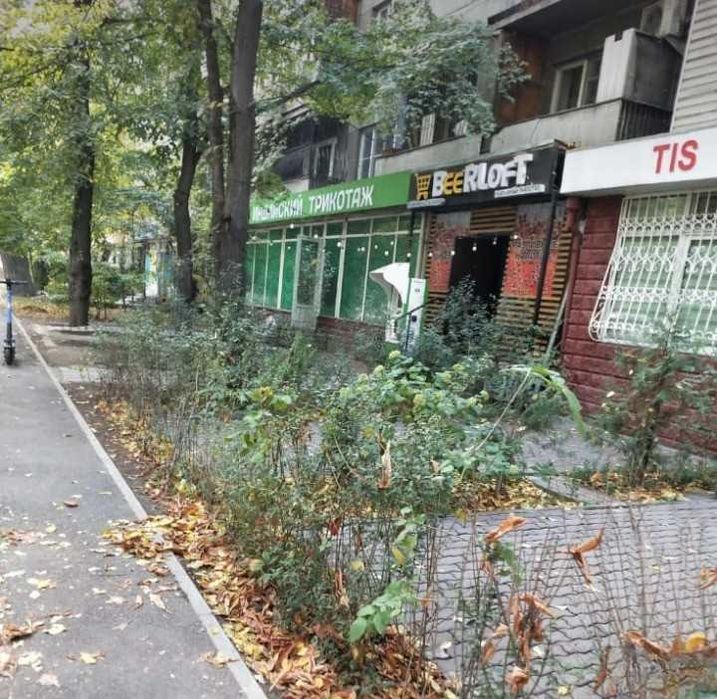 Помещение под магазин, офис