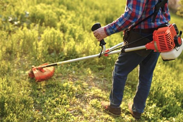 Аренда Инструментов Прокат Инструментов Триммер Газонакасилки 24.7.