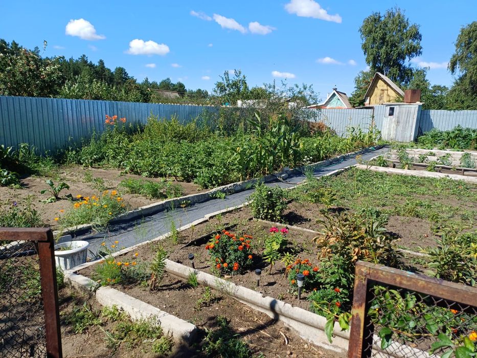 Продам дачу. Мелиоратор